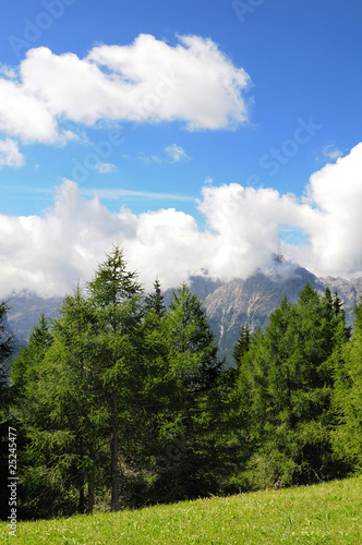 montagna, nuvole e prato e alberi montagna, nuvole e prato e alberi