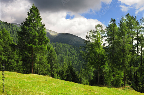 nuvole e prati e alberi in montagna nuvole e prati e alberi in montagna