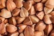 buckwheat background