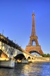 Eifel Tower - Paris (France) Eifel Tower - Paris (France)