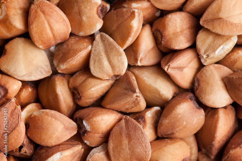 Photo: buckwheat background buckwheat background