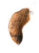 fuchsschwanz