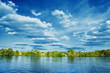 river with green trees on summer day