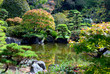 Japanese garden