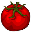 Tomate