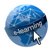 Global e-learning network
