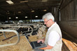 Farmer looking a milk prices on computer Farmer looking a milk prices on computer