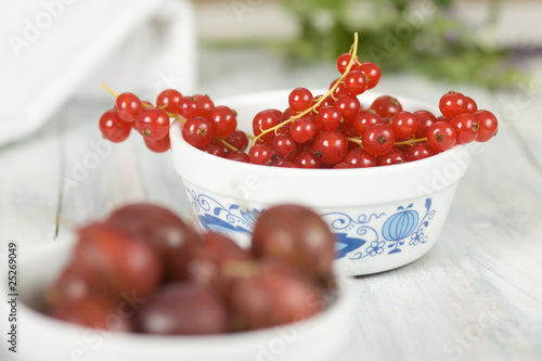 Johannisbeeren scharf Johannisbeeren scharf