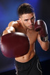 Action boxer in training attitude