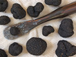 black truffles