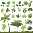 tree and leaf set tree and leaf set