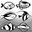 fish set