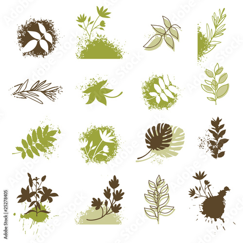 Vector: set of grunge floral element set of grunge floral element