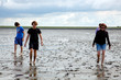 Wattwandern an der Nordsee 689