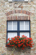Brugge, Belgium. Old building with red flowers in windows