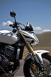 moto bianca
