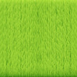 Grass Grass