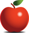 Vector illustration of the Red apple Vector illustration of the Red apple