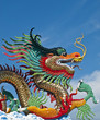 various color dragons on blue sky , various color dragons on blue sky ,