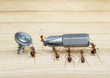team of ants carries screwdriver to screw, teamwork team of ants carries screwdriver to screw, teamwork