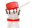 Photo en ligne au meilleur prix team of ants opening bottle and inserting pipe, isolated
