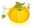 a vector pumpkin