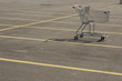 Shopping Cart on an Empty Parking Lot Shopping Cart on an Empty Parking Lot