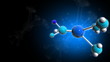 LECULAR MODEL