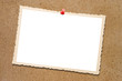 Pinwand