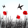 Hummingbirds and poppies meadow