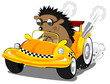 hedgehog the taxi driver hedgehog the taxi driver