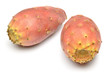 figues de barbarie figues de barbarie