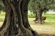 Parco