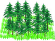 Wald