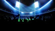 American football arena, stadium