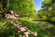 Spring landscape with pond Spring landscape with pond
