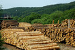 Sägewerk