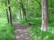 Idyllischer Weg im Mühltal I