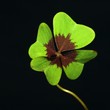 cloverleaf  -  trifolium