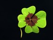 Cloverleaf  -  trifolium