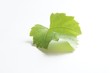 Foto: weinblatt weinblatt