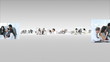Video: fly through call-center footages fly through call-center footages
