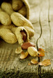 Peanut Closeup Peanut Closeup