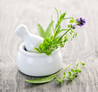 Healing herbs in mortar and pestle Healing herbs in mortar and pestle