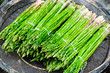 Asparagus officinalis
