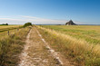 Across French Fields