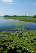 Beutyful lakes and forests of Uusimaa region in Finland