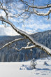 Winter am See - Lake in Winter