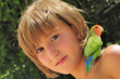 Pet Parakeet on a Child's Shoulder Pet Parakeet on a Child's Shoulder