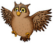 Eule, Kauz, Käuzchen, Nacht, Nachteule, Uhu, fliegen